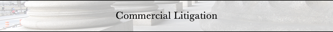 Commercial Litigation