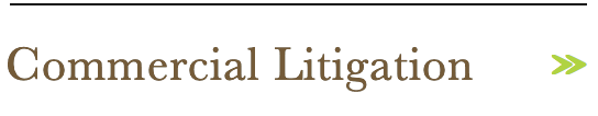 Commercial Litigation